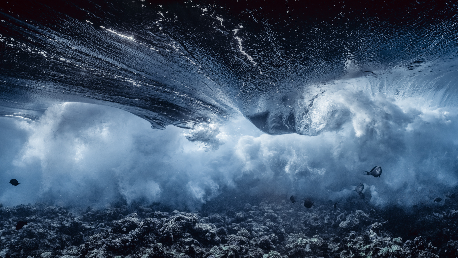 Underwater Art by Alexej Sachov – Mixed Emotions / Storm, exhibited at ARTMUC
