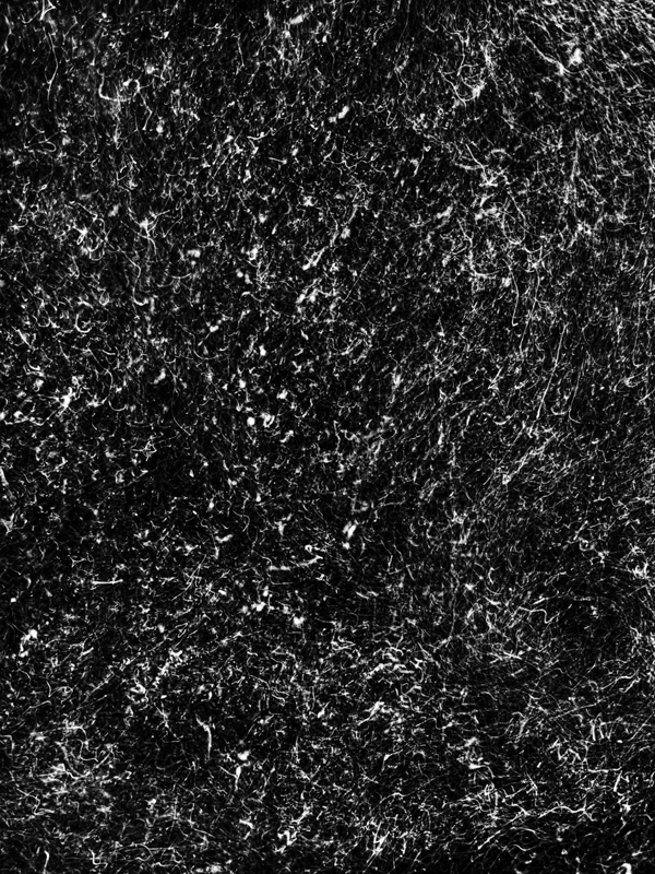 Underwater Fine Art photography by Alexej Sachov – Microworld (2022) from The Secret Code of Nature, presented at Artexpo New York 2026 (Solo Booth S311)